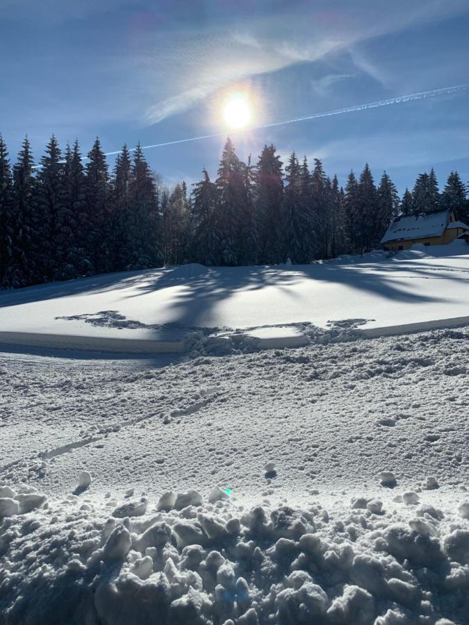 Berghotel Friedrichshoehe Altenberg Luaran gambar