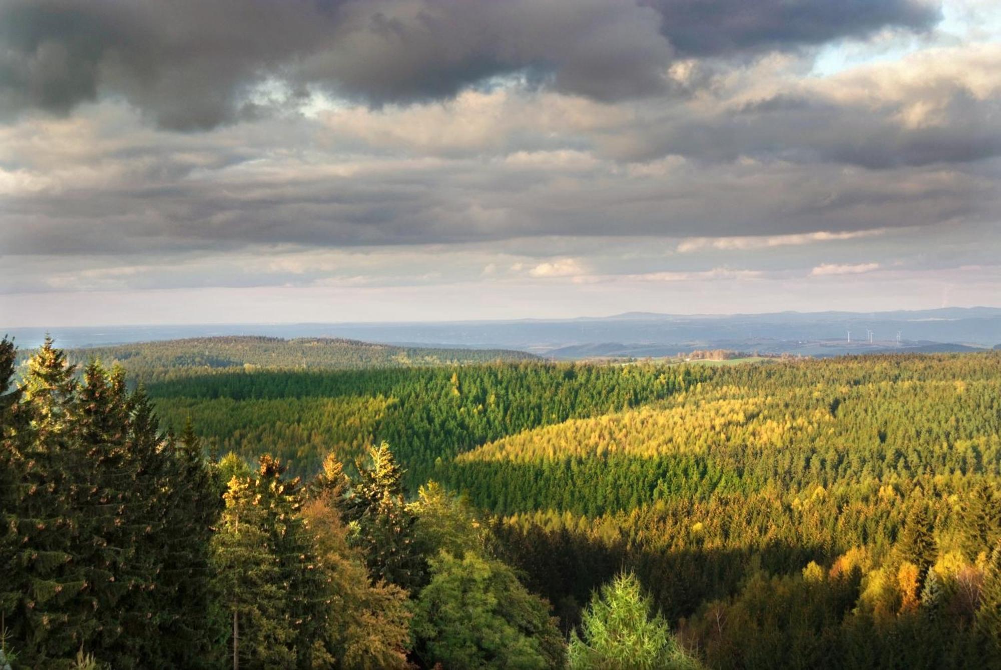 Berghotel Friedrichshoehe Altenberg Luaran gambar