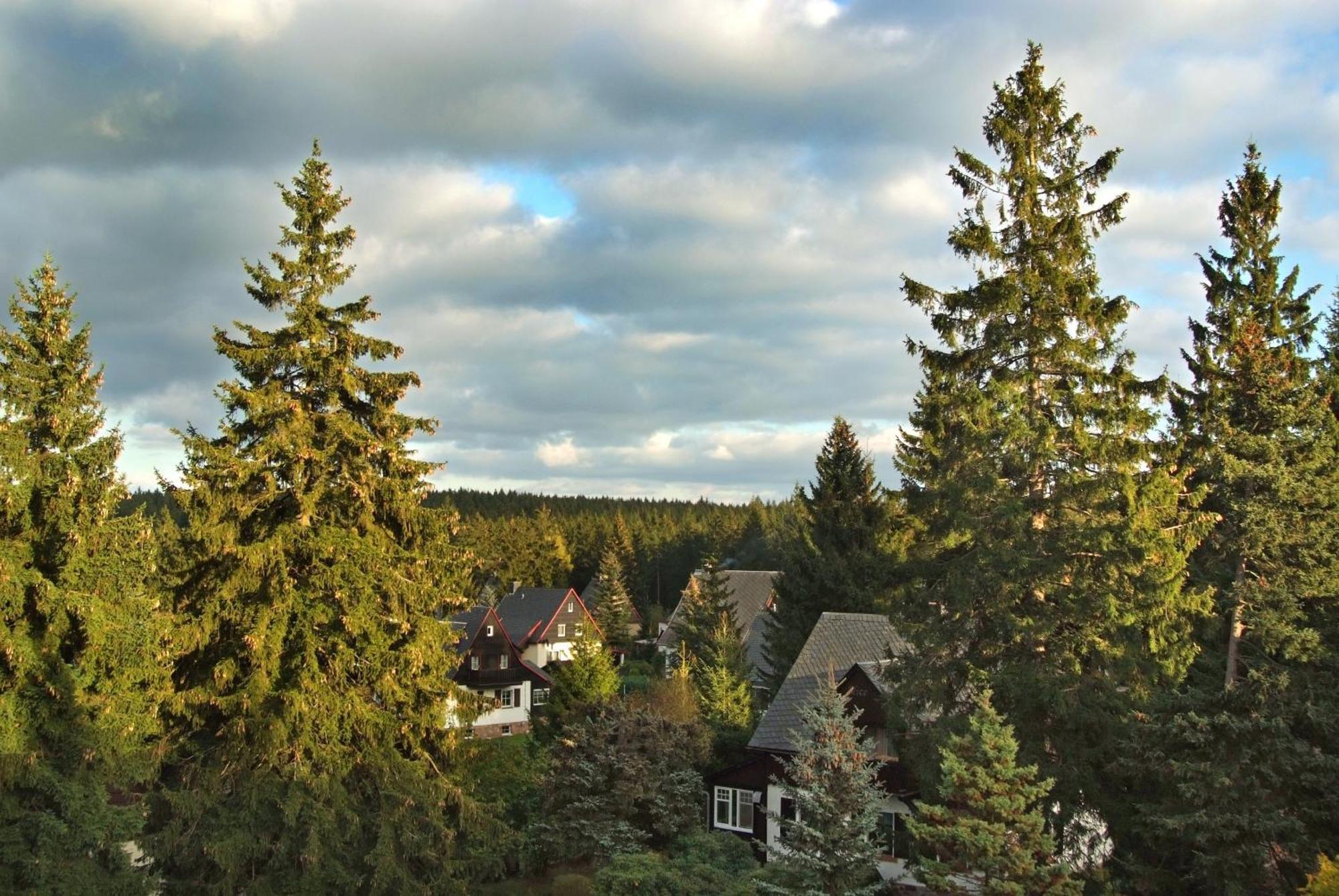 Berghotel Friedrichshoehe Altenberg Luaran gambar